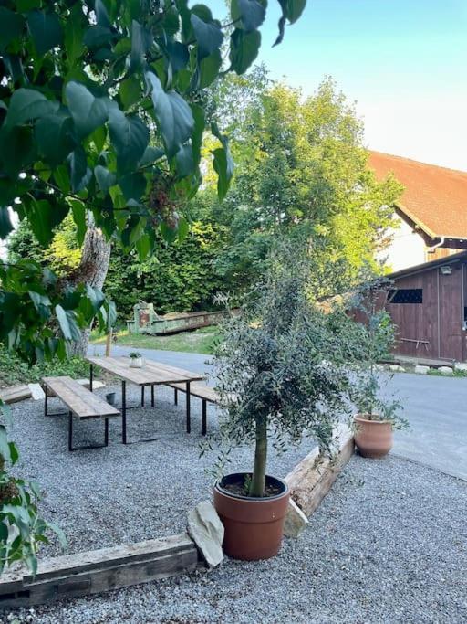Zauberhafte Ferienscheune Im Hofgut Alte Oelmuehle Engen Exterior foto